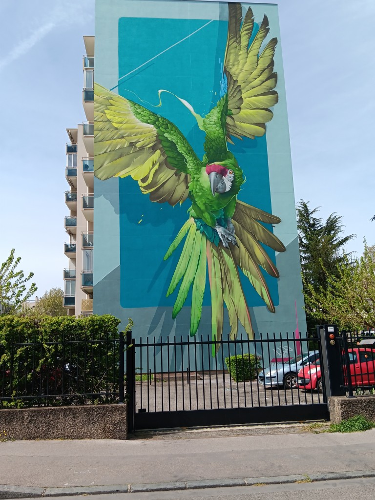 CIL Monplaisir -Street Art Kalouf