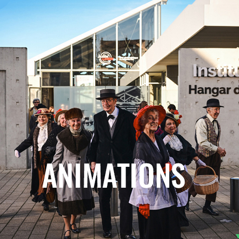 CIL Monplaisir - Animations