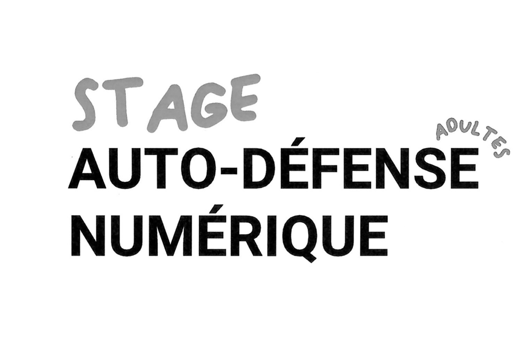 CIL Monplaisir - animations : Stage Auto-defense numérique